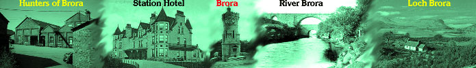 BroraBanner502