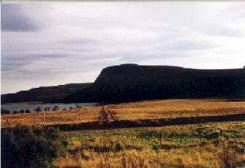 Cottage_9
