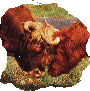 HighlandCattle