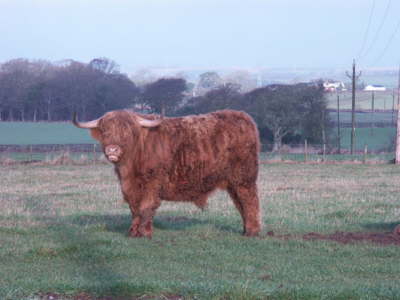 Burns-2004-Gretna-Green-002
