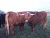 Burns-2004-Gretna-Green-003