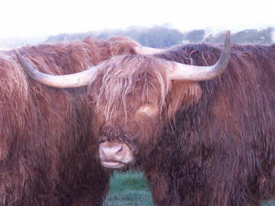 Burns-2004-Gretna-Green-004