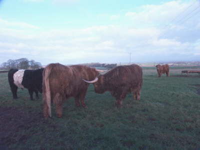Burns-2004-Gretna-Green-006