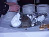 Burns-2004-Saturday-034