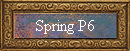 Spring P6