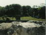 1985_Gathering_8